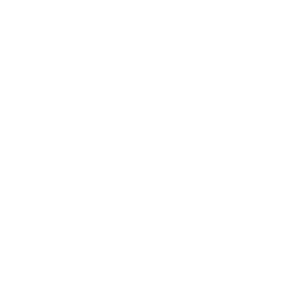 Banamex Main sponsors-03