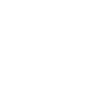 Logo NEW VENTURES